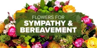 FM4-Bold—Sympathy-Bereavement—Blog